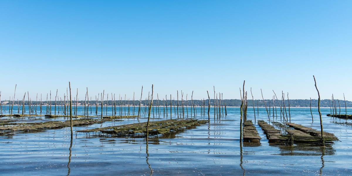 Oyster beds in the Arcachon Bay